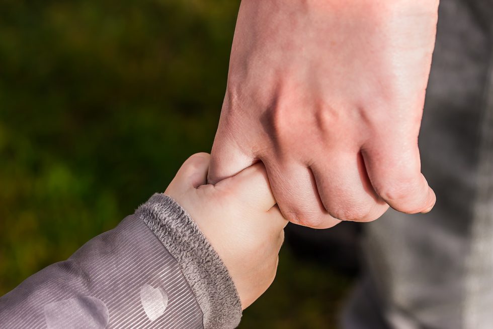 Child Support Enforcement ENFORCE Speridian Technologies