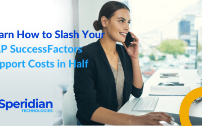 How to Cut Your SAP SuccessFactors Support Costs by More than Half