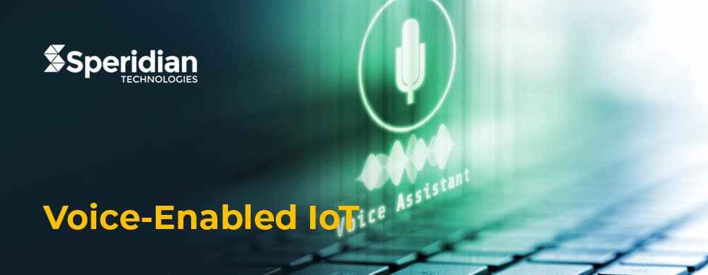Voice-Enabled IoT can make your business smarter. Here’s how!