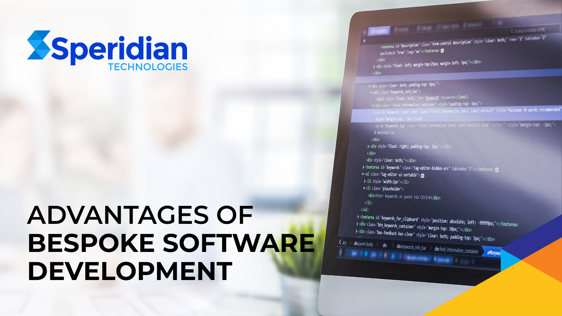 Advantages of Bespoke Software Development