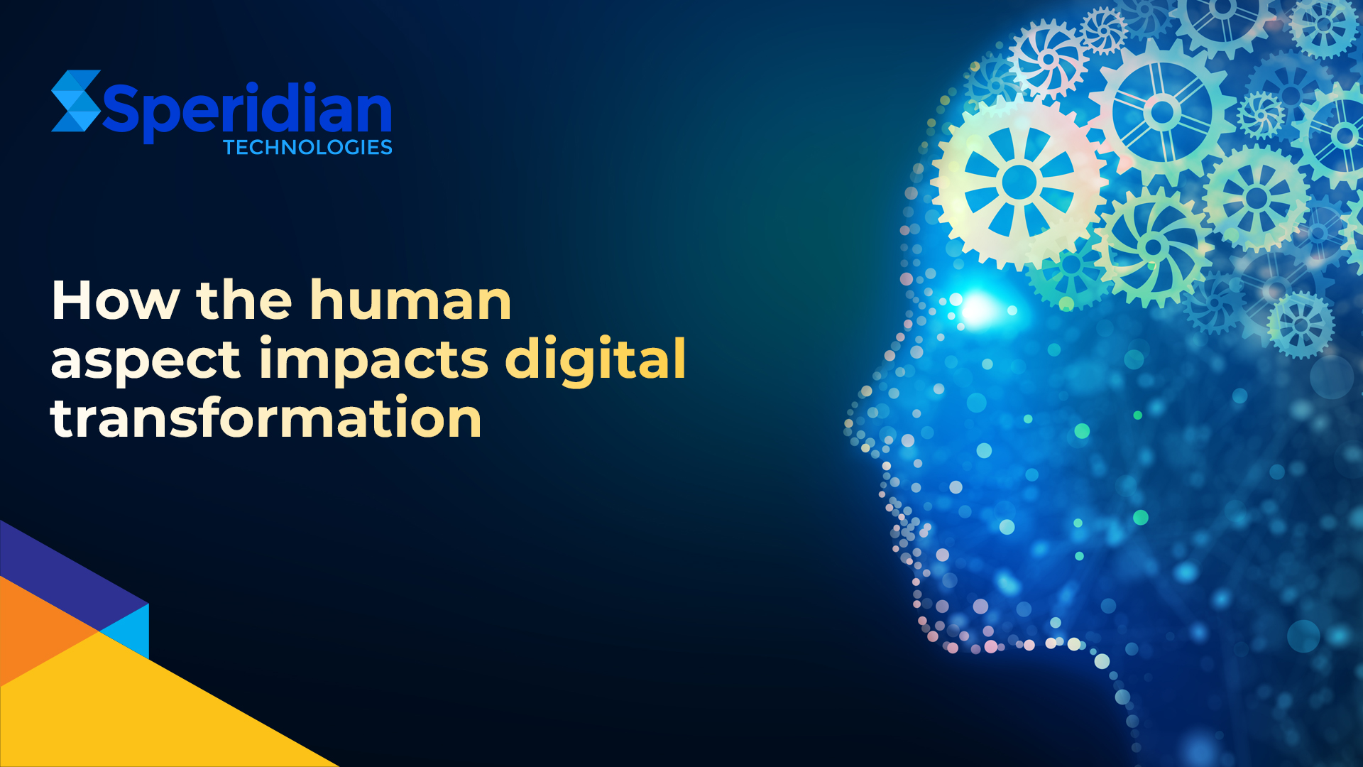 How the human aspect impacts digital transformation