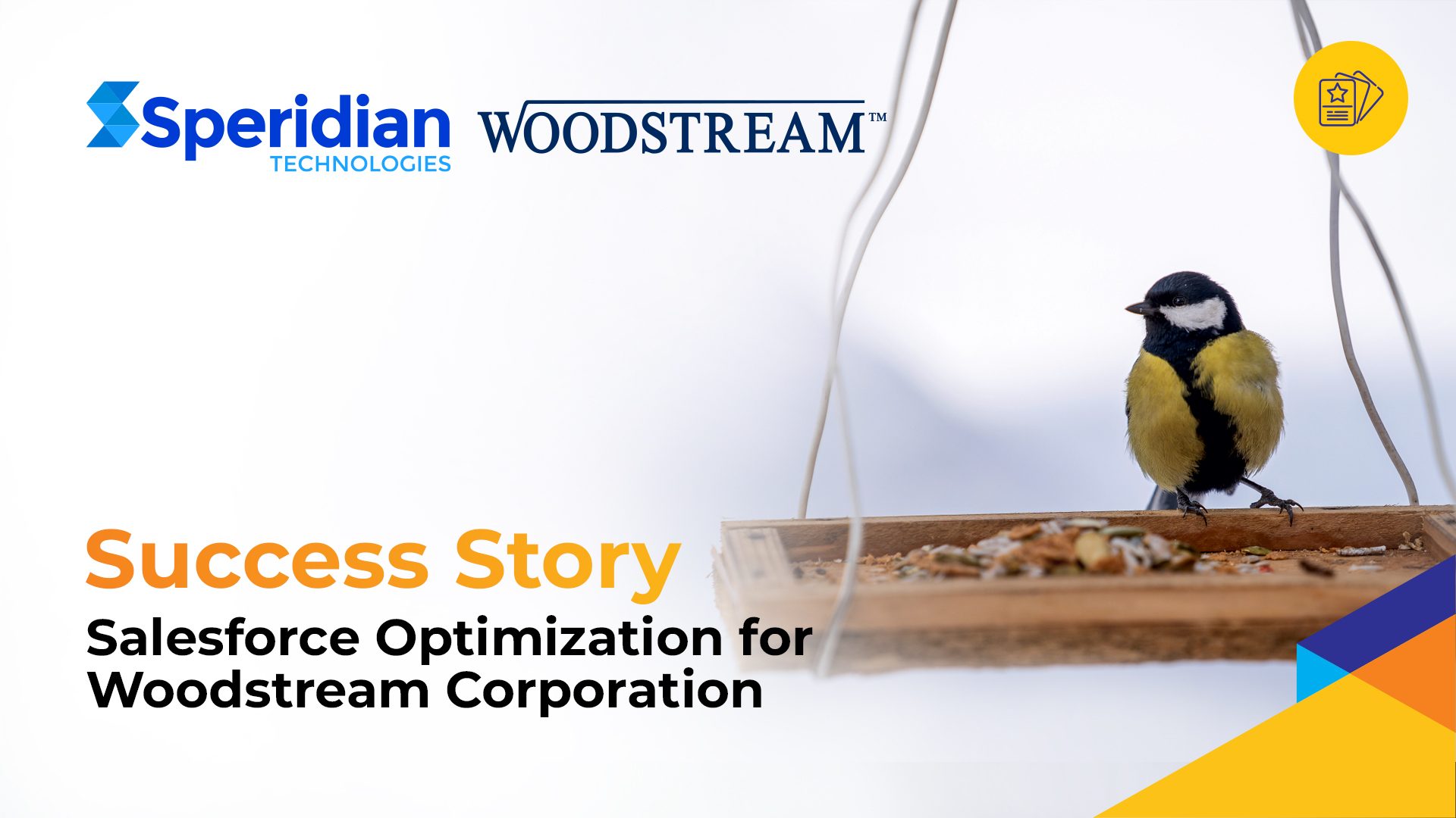 Salesforce Optimization for Woodstream Corporation