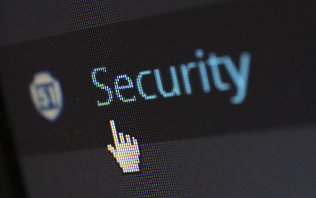What is the Salesforce Security model?